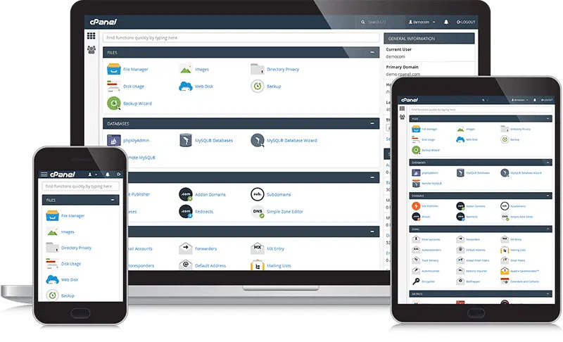 cpanel hosting diseño web rayo creativo
